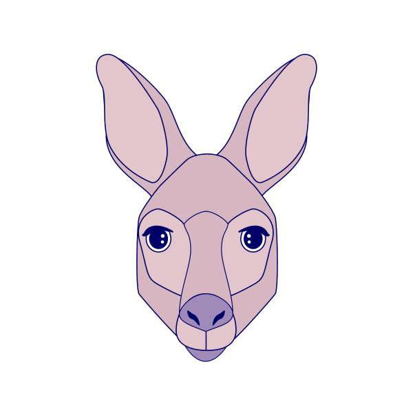 Kangaroo Illustration