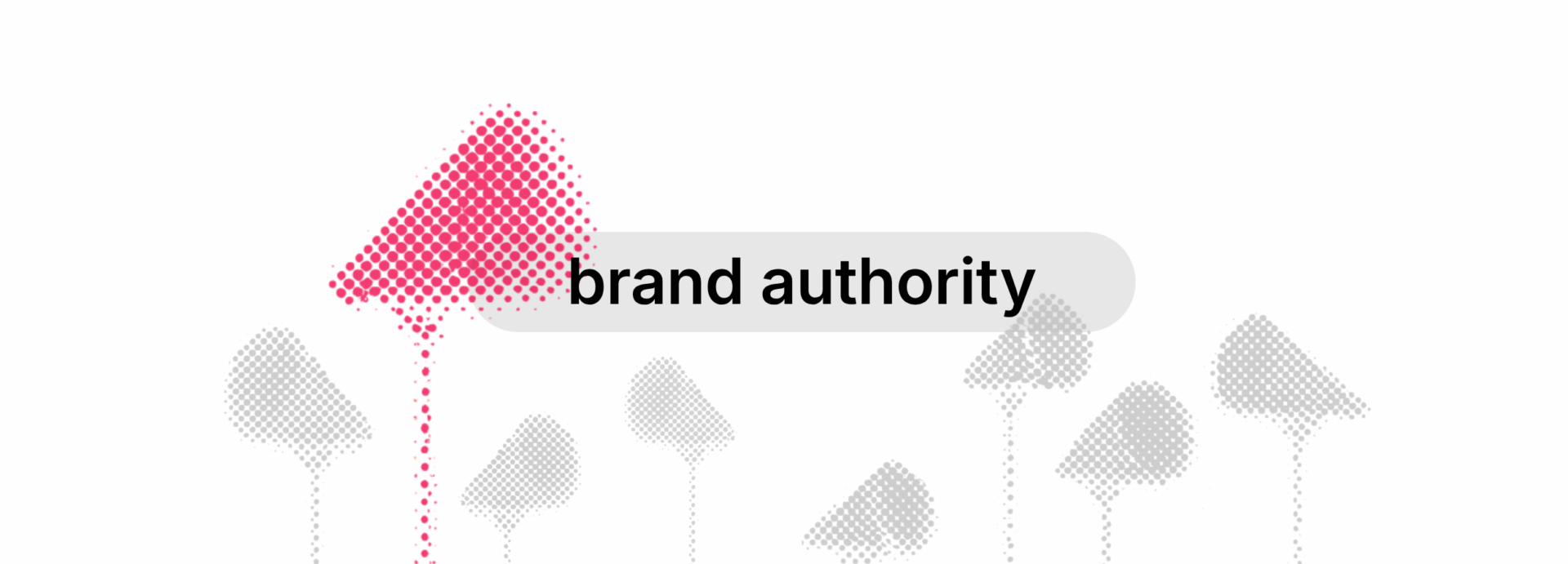Brand authority banner.